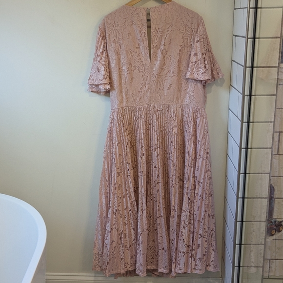 NEW ASOS DESIGN Curve Exclusive Lace Pleated With Tie Detail Blush Pink - Picture 7 of 12